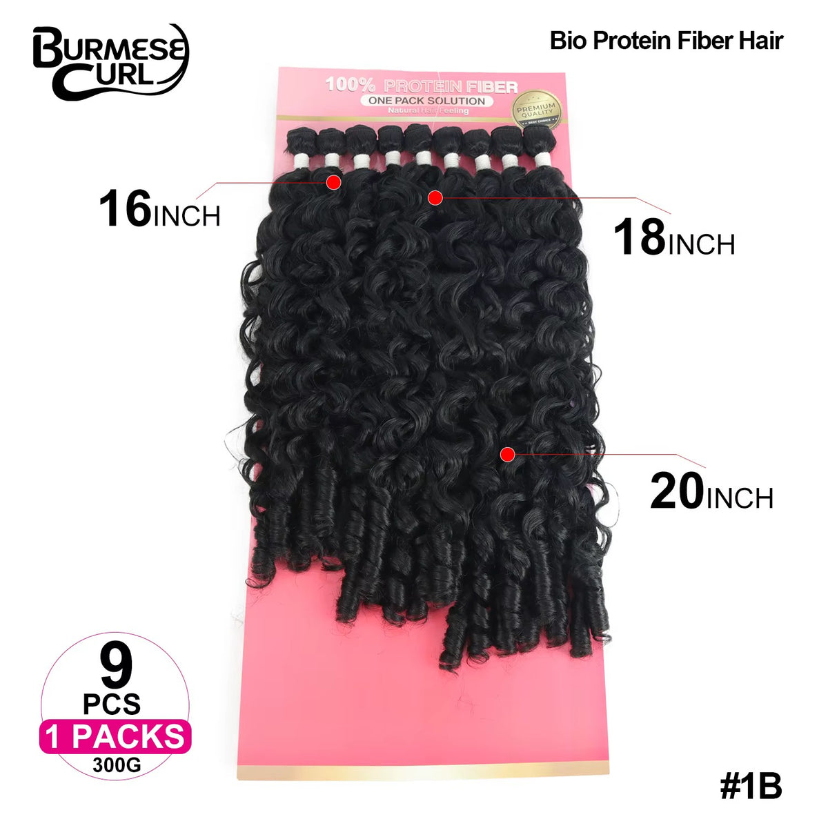 Burmese - #1B