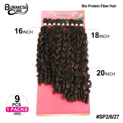 Burmese - #SP2/6/27