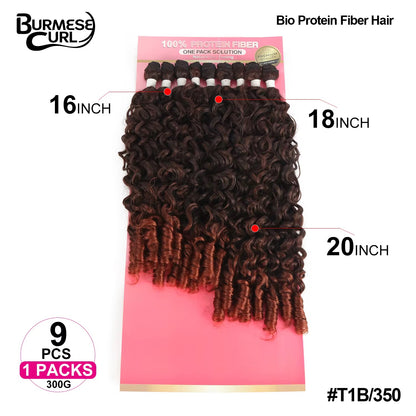 Burmese - T1B/350